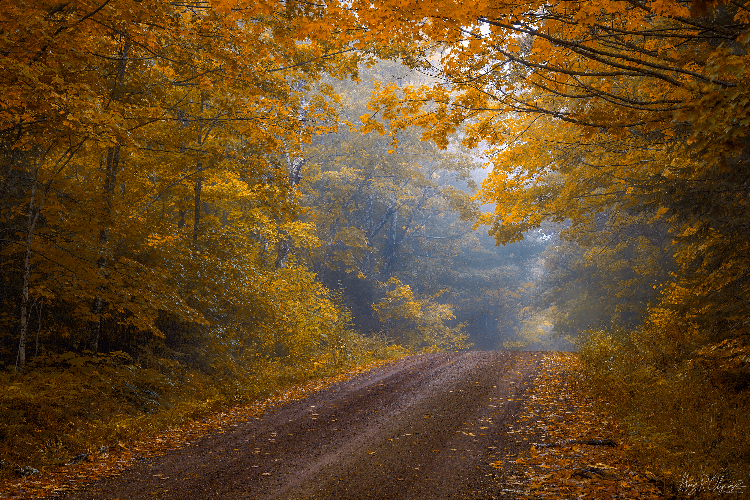 Fall Roadside